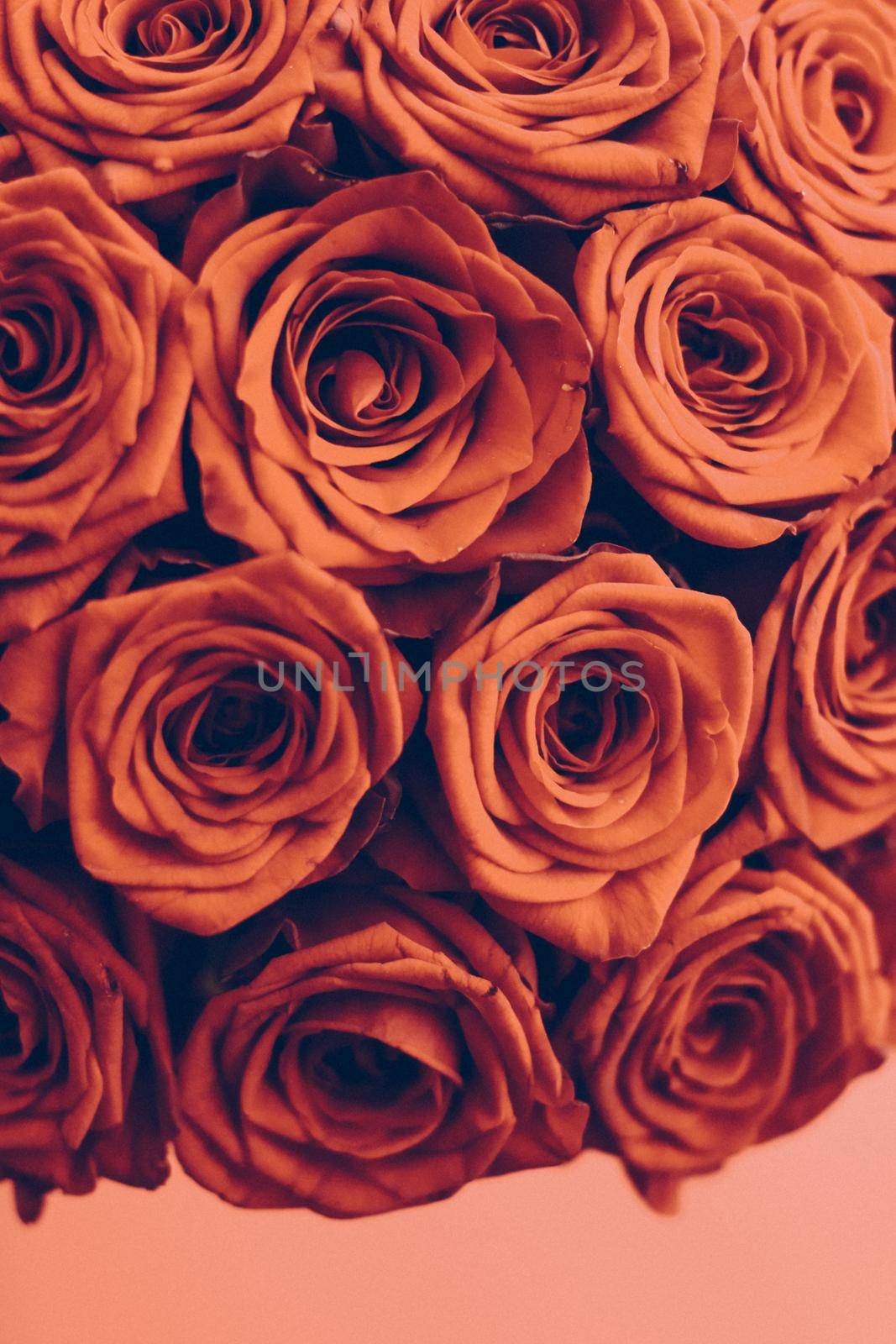 Blooming rose, flower blossom and Valentines Day gift concept - Vintage luxury bouquet of orange roses, flowers in bloom as floral holiday background