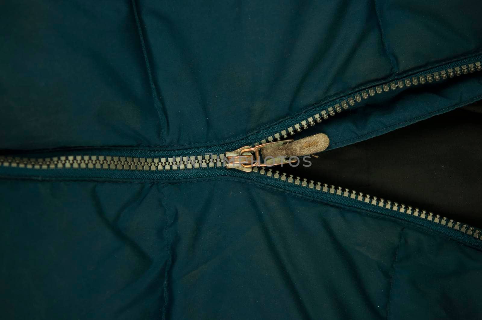 Detail of locking zipper on jacket. Close up macro local focus shot. by inxti