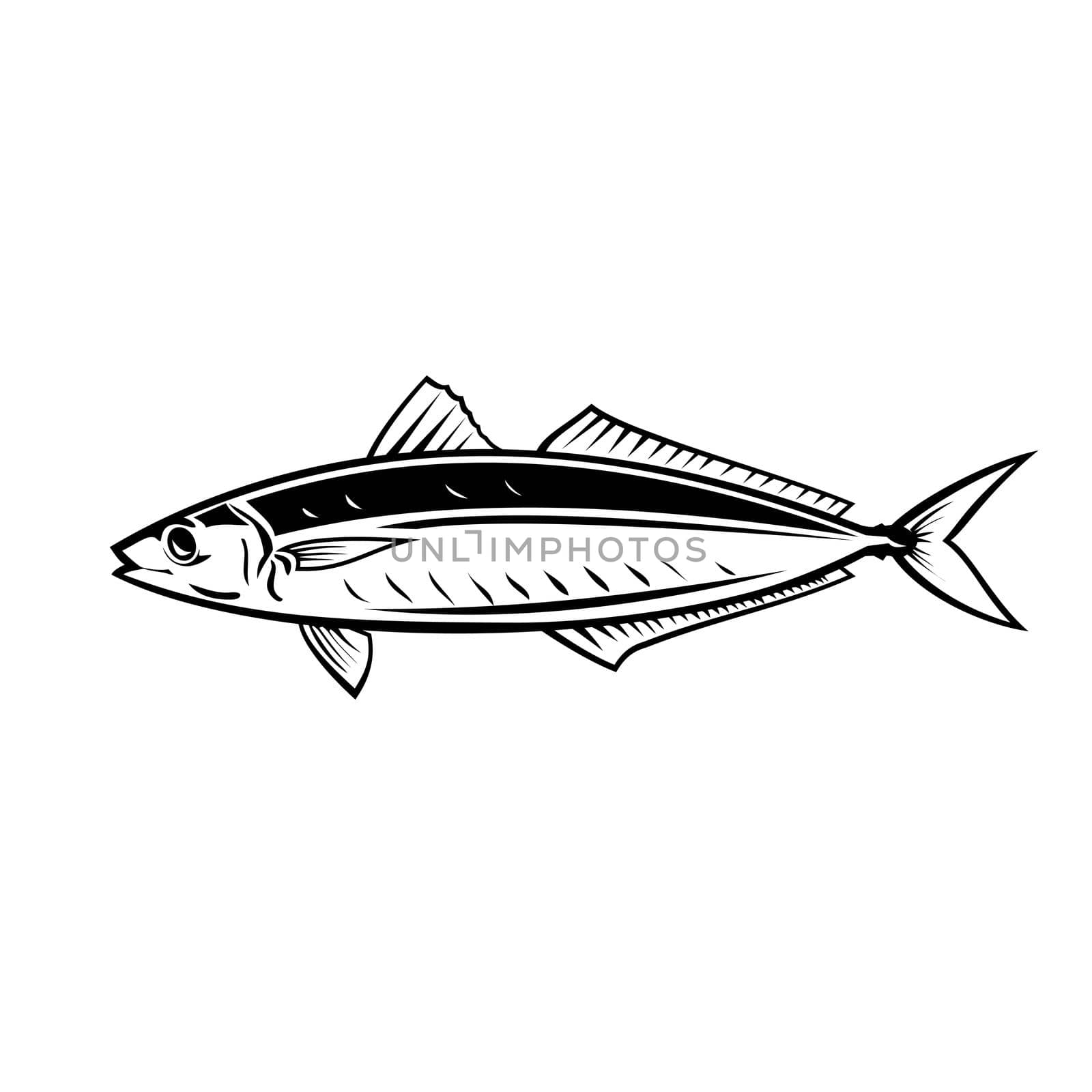 Round Scad Fish or Mackerel Scad Side View Mascot Retro by patrimonio
