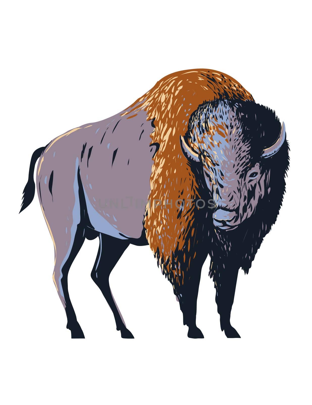American Bison American Buffalo or Simply Buffalo That Once Roamed North America WPA Poster Art by patrimonio