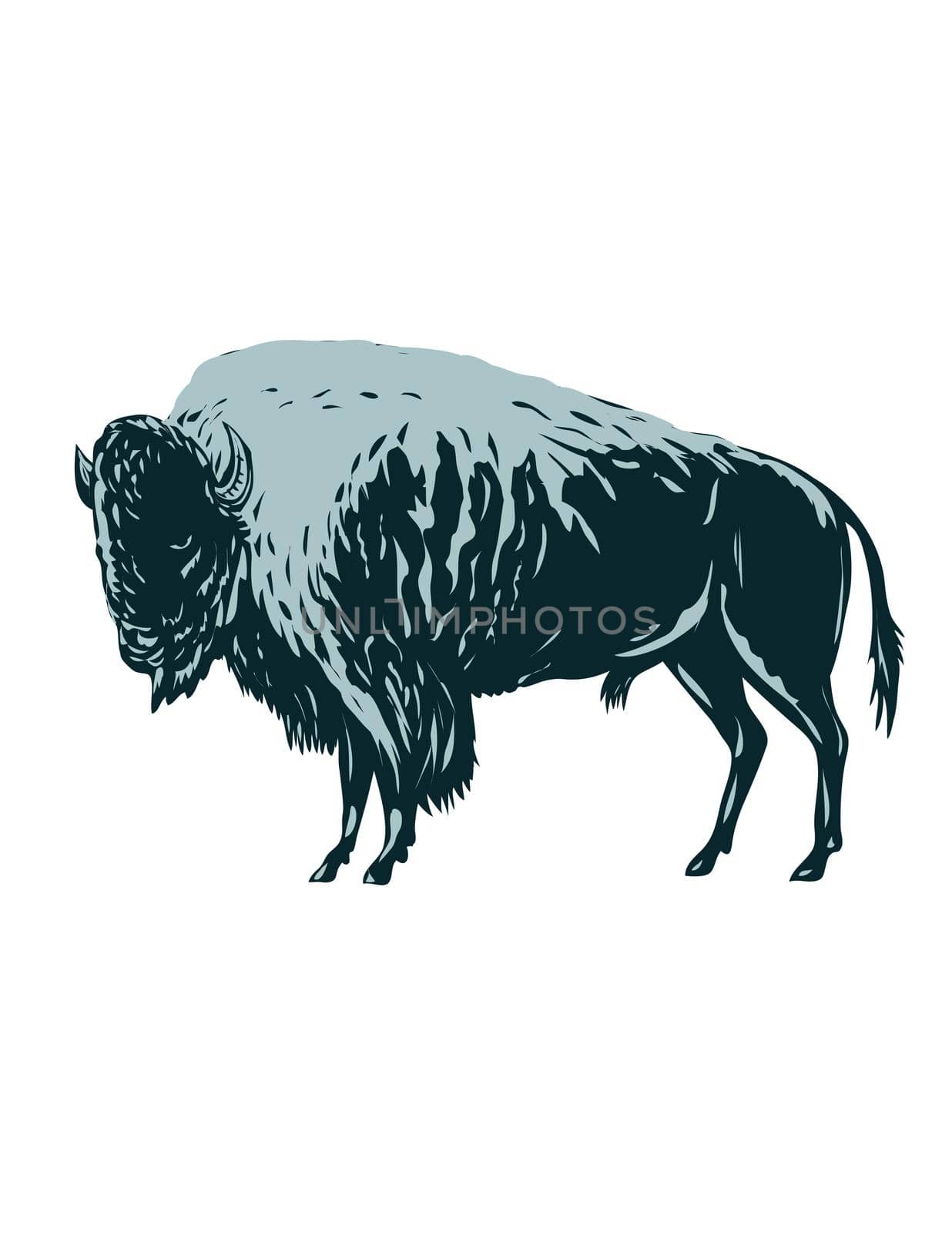 WPA poster art of an American bison, American buffalo or simply buffalo that once roamed North America viewed from side done in works project administration or federal art project style.
