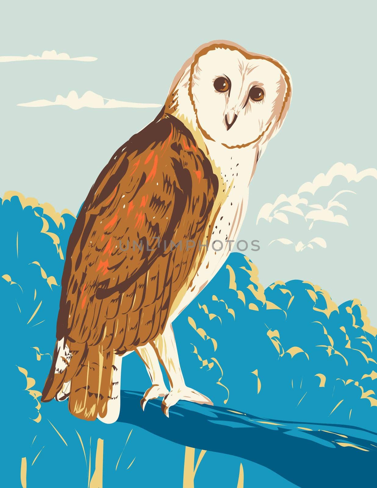 WPA poster art of the American barn owl or Tyto Furcata perching on branch done in works project administration or federal art project style.

