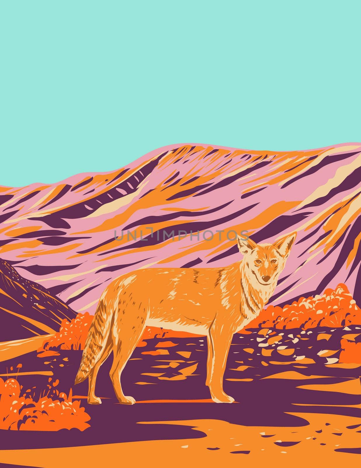 Coyote in Death Valley National Park in the California Nevada Border WPA Poster Art by patrimonio