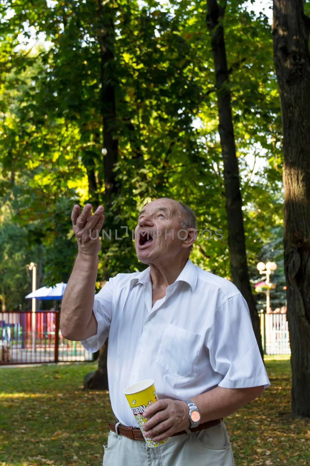 An elderly man walks alone in the park in the summer. The pensioner cheerfully throws popcorn up from a glass and catches it with his mouth wide open.