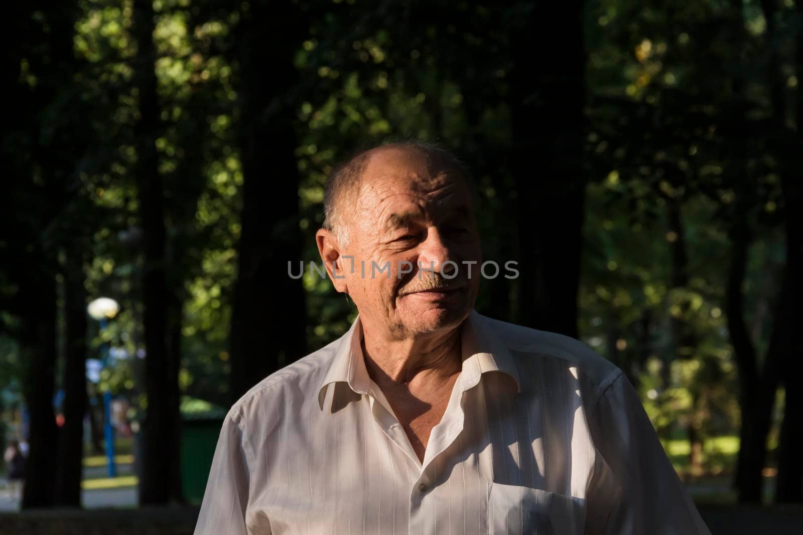 An elderly man walks alone in the park in the summer. Portrait of an old man who is alone in the park among the trees. by Alla_Yurtayeva