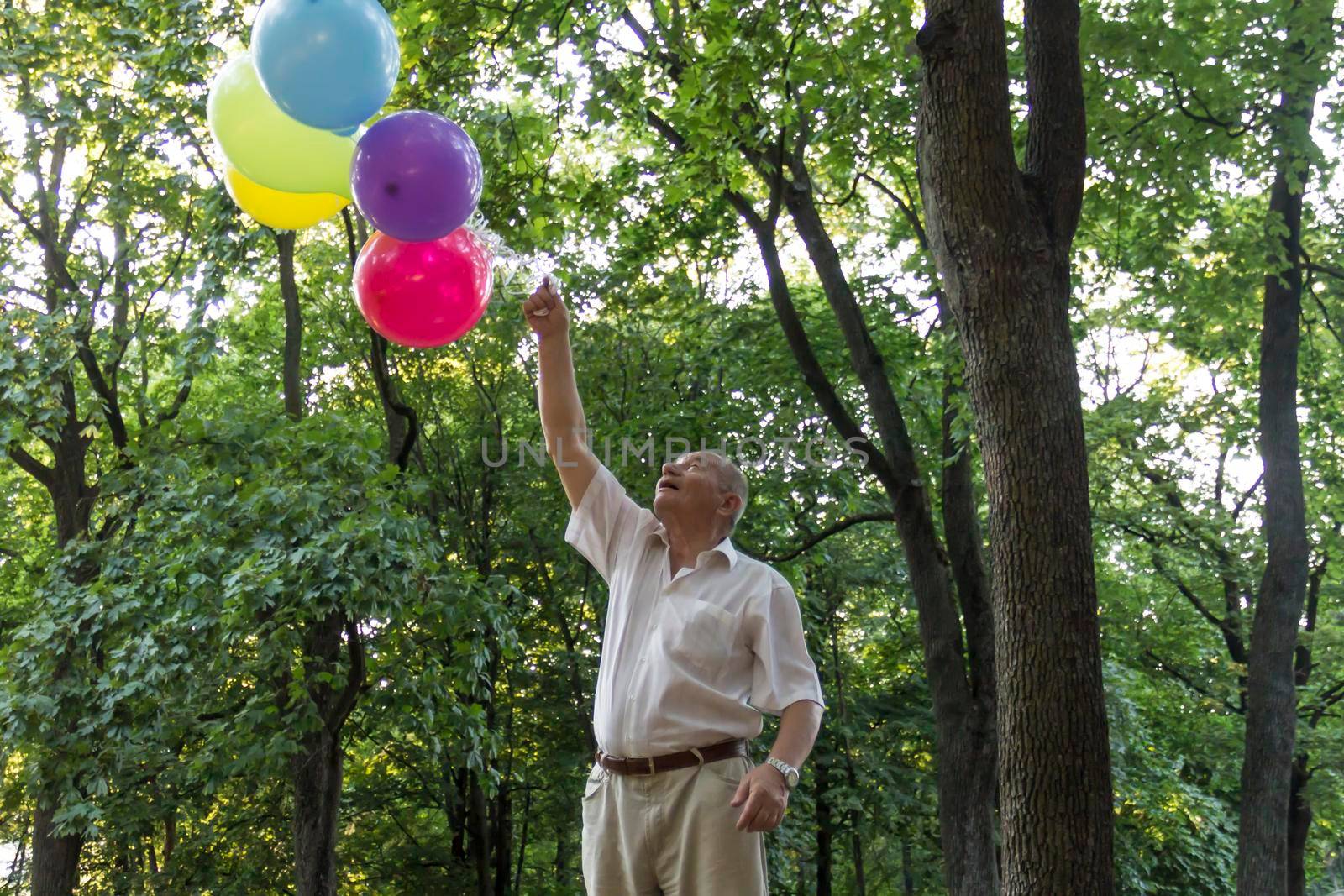 An old man is playing in the park with bright, balloons on his birthday.