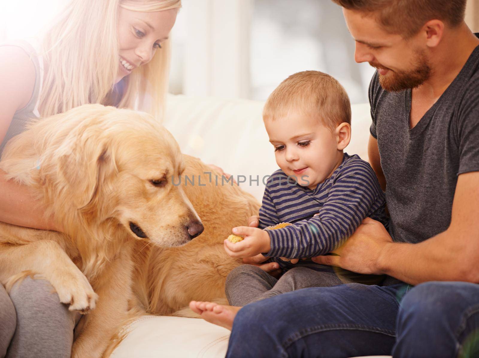 Happiest is the home with a dog. A happy young family with their dog at home. by YuriArcurs