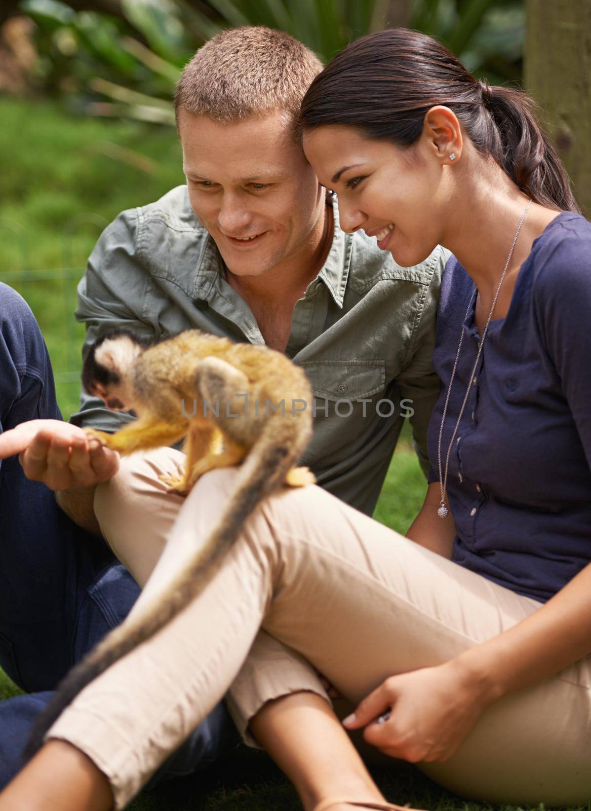 Sir, your hand appears to be empty. a young couple spending time at an animal sanctuary. by YuriArcurs