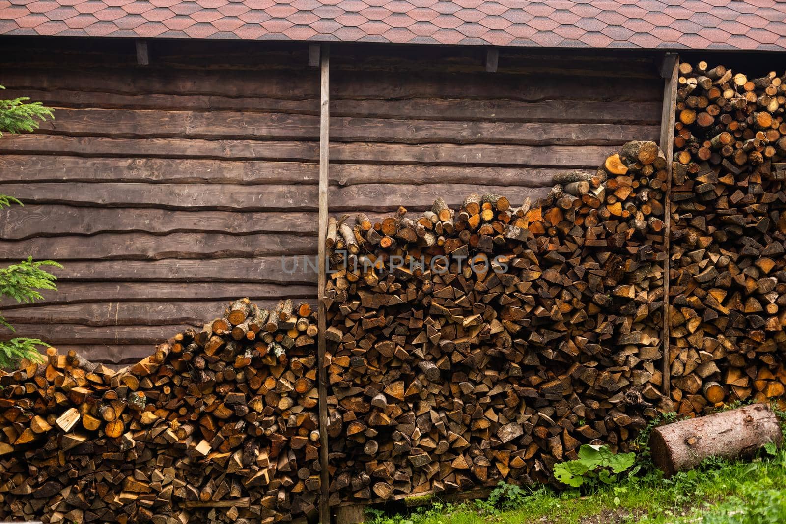 stacked firewood and dry branches. firewood for kindling stoves, barbecue. harvesting firewood for the winter. cutting down old trees. fuel.