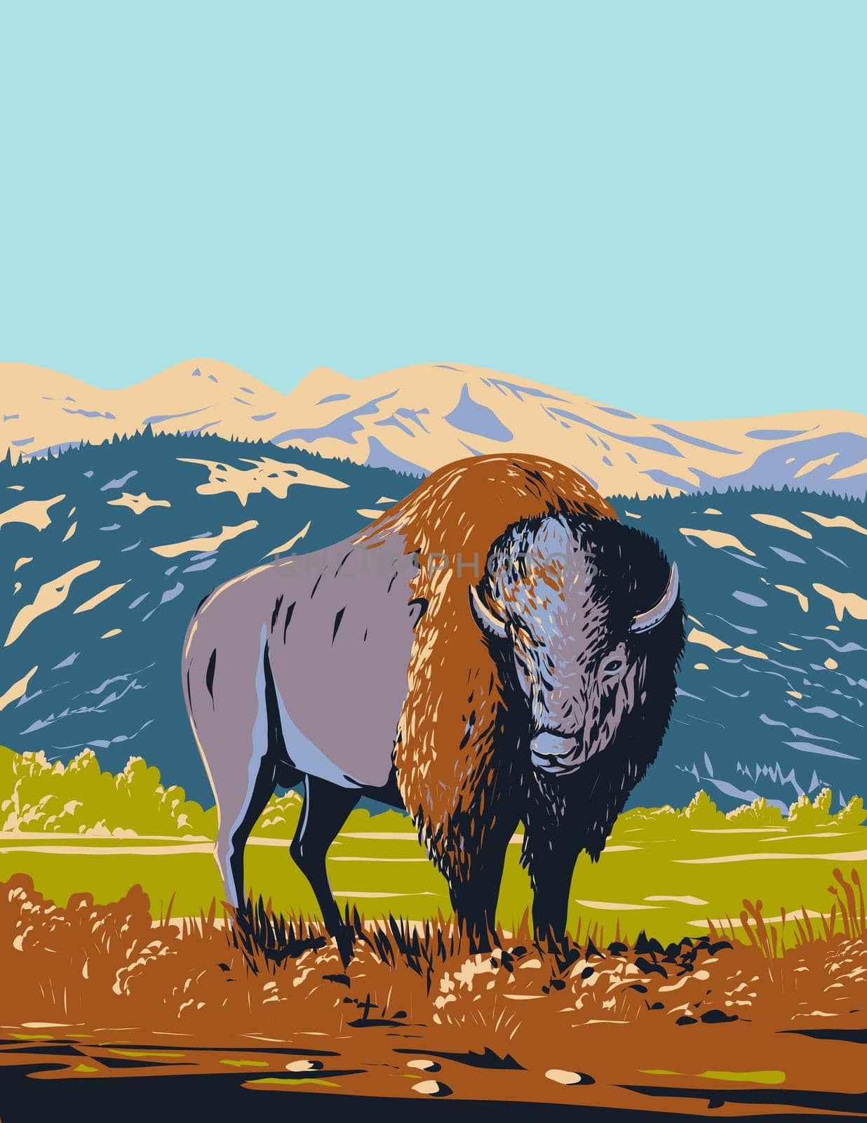 North American Bison Roaming in the Prairie of Yellowstone National Park Wyoming WPA Poster Art by patrimonio