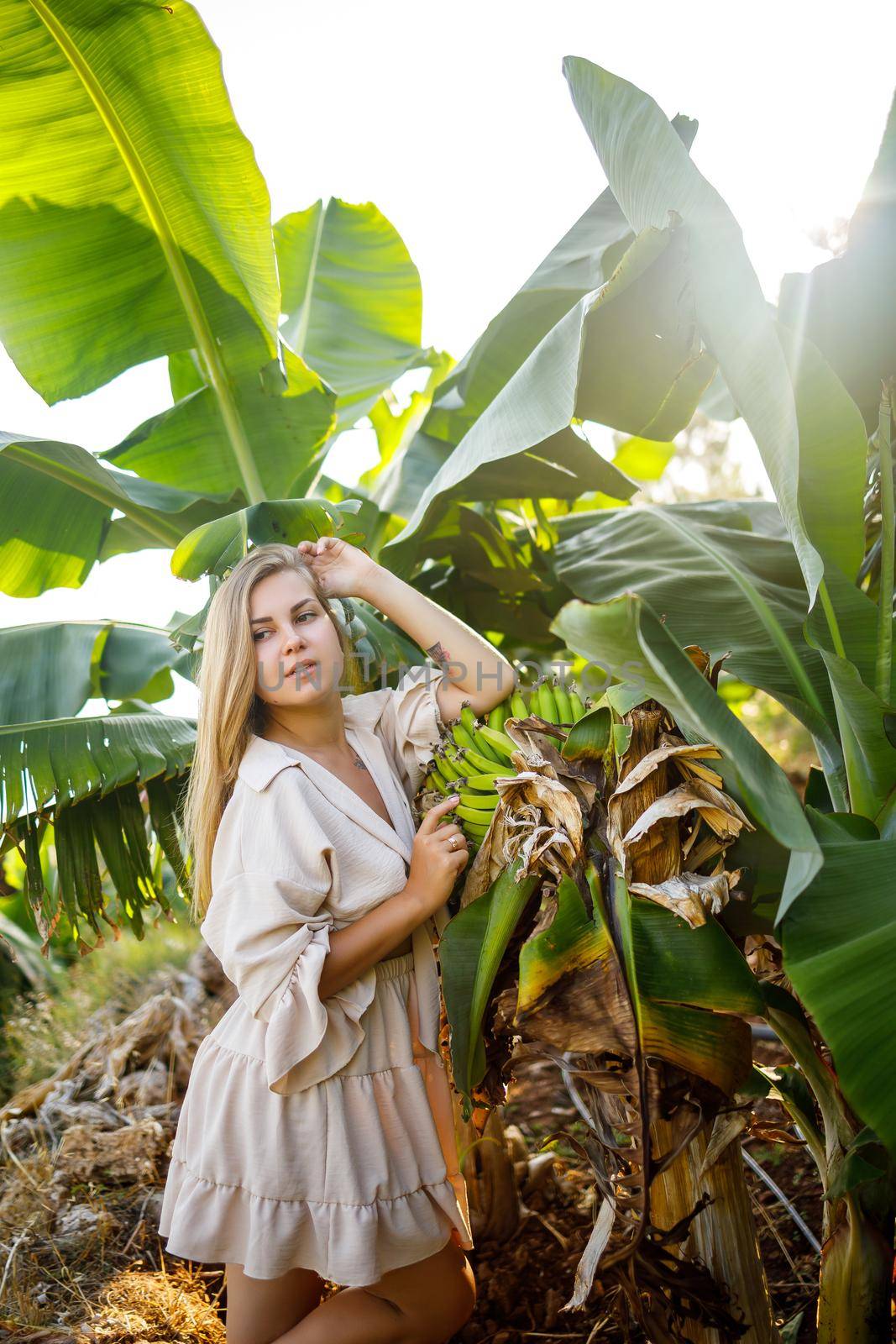 Woman near large green leaf of banana tree on nature in park. Tropical plants