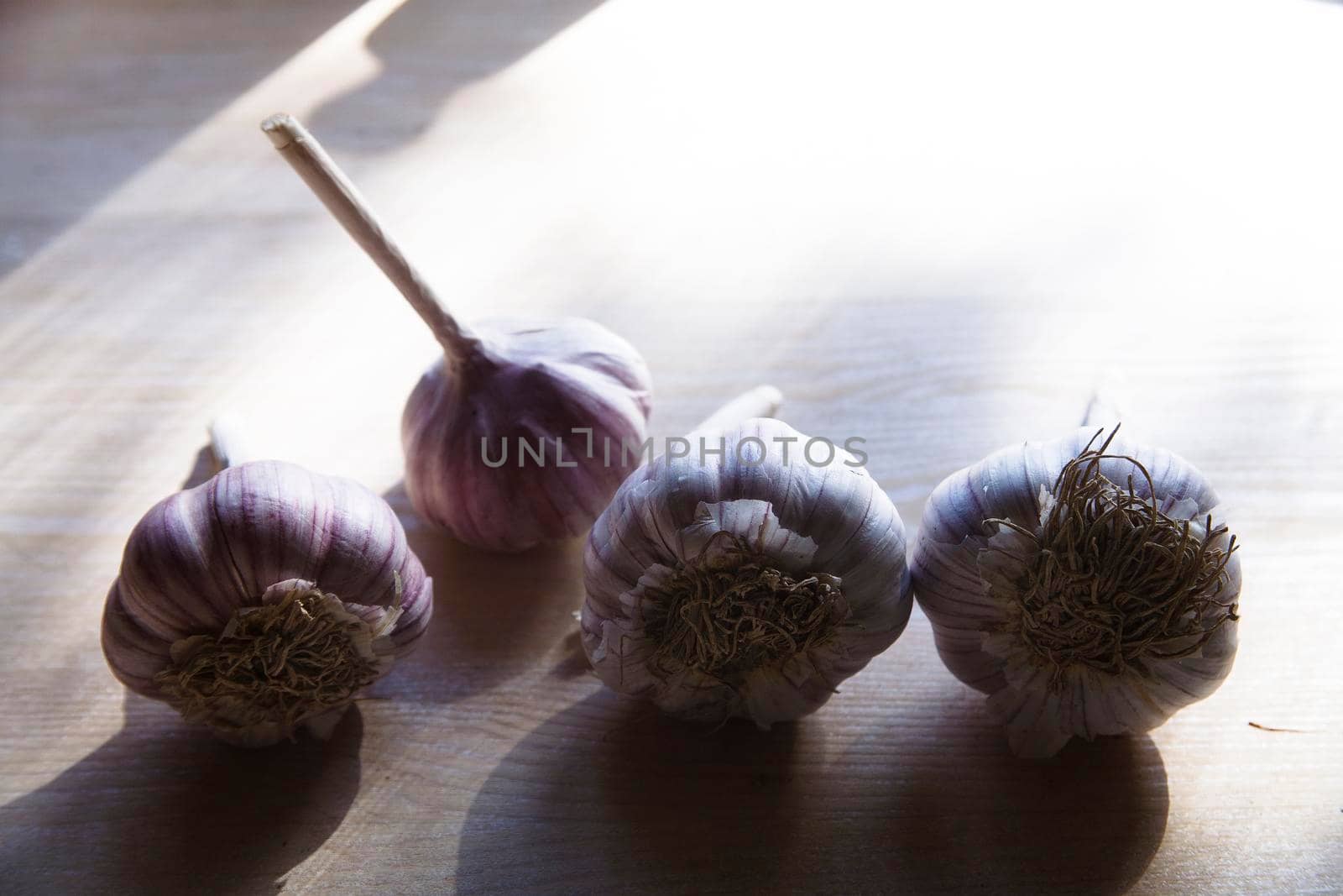 Four garlic heads on white table for food and autumn planting, close up with horizontal copy space.