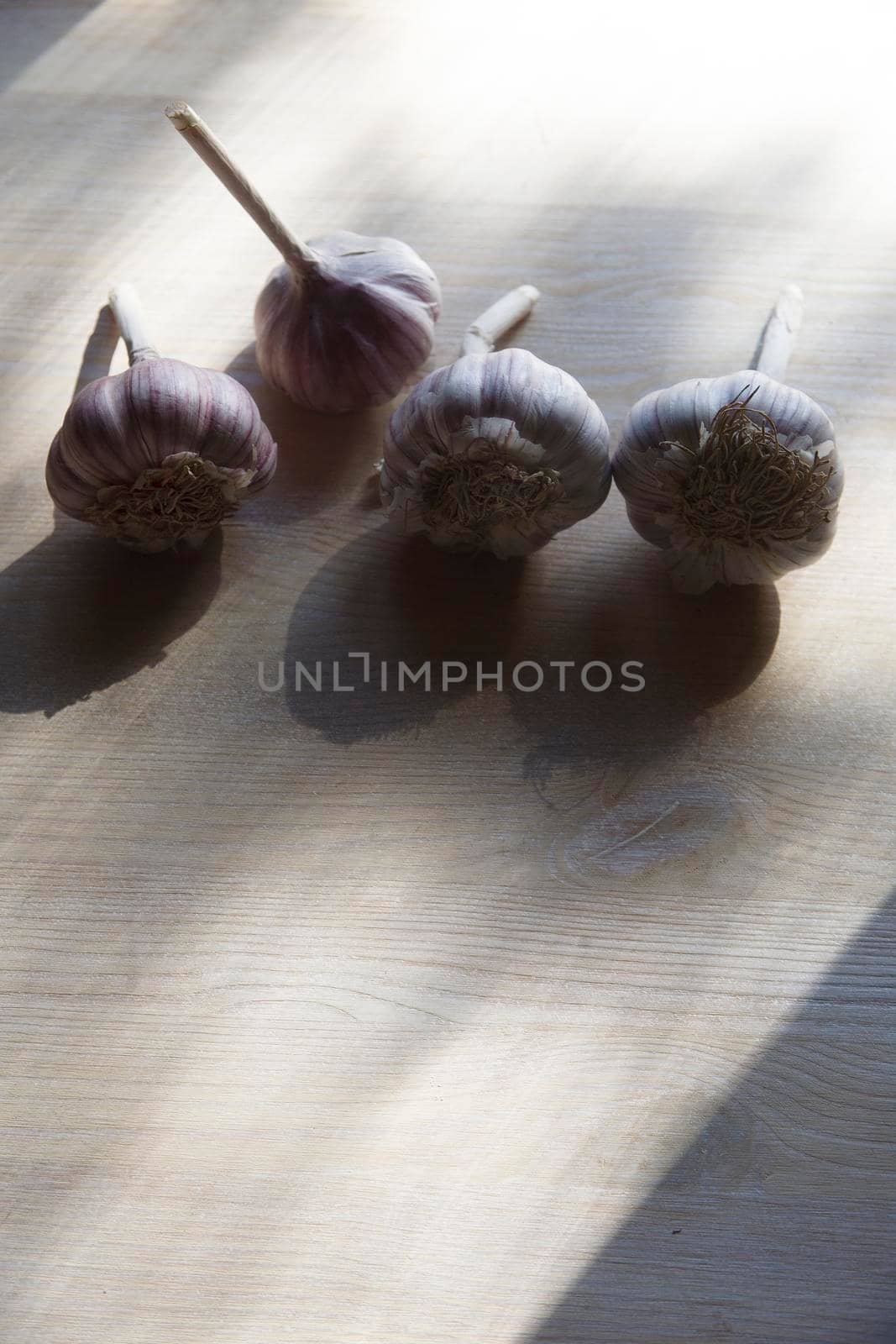 Garlic heads on white table for food and autumn planting, close up with vertical copy space.