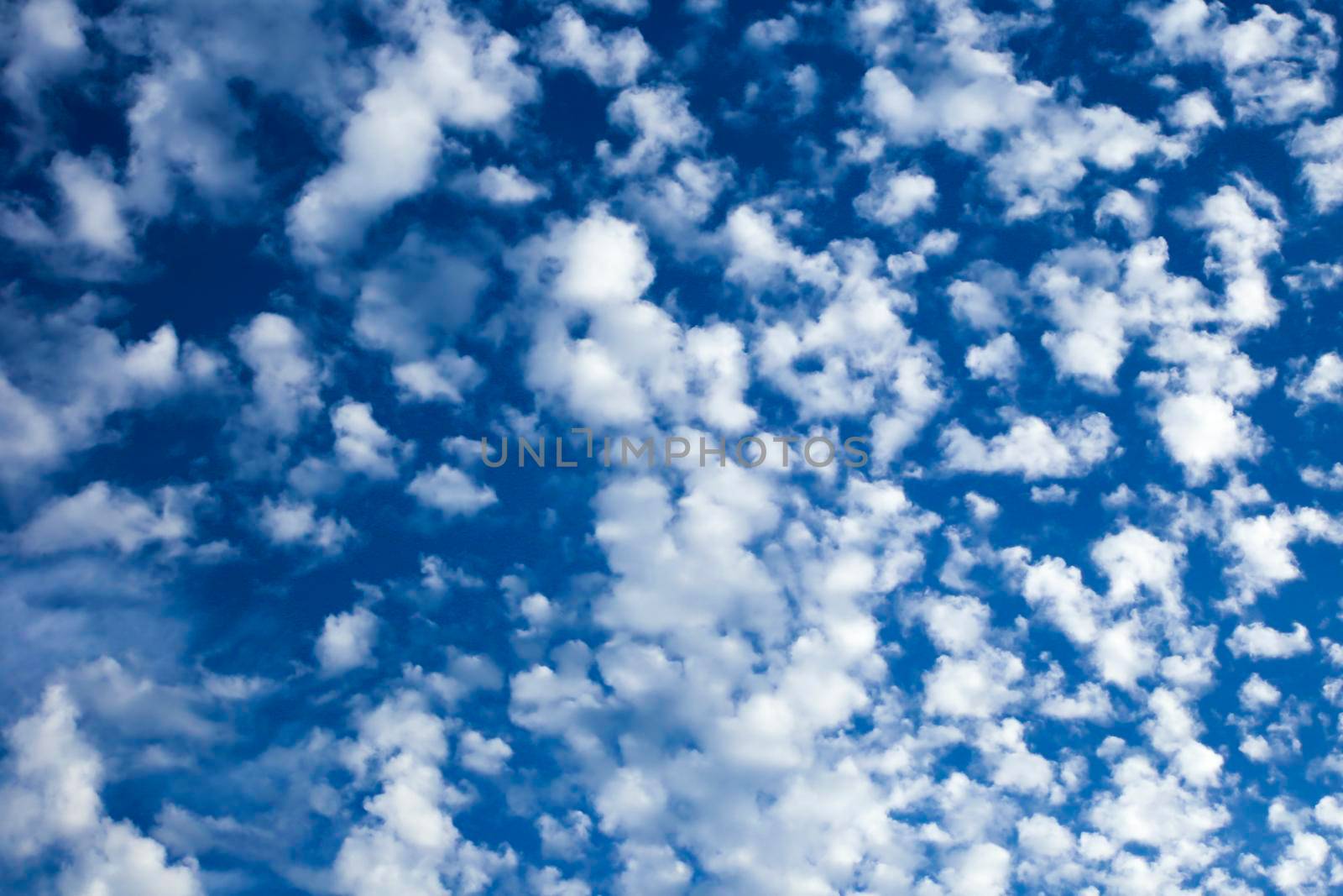 Sky with altocumulus clouds in Spain in summer