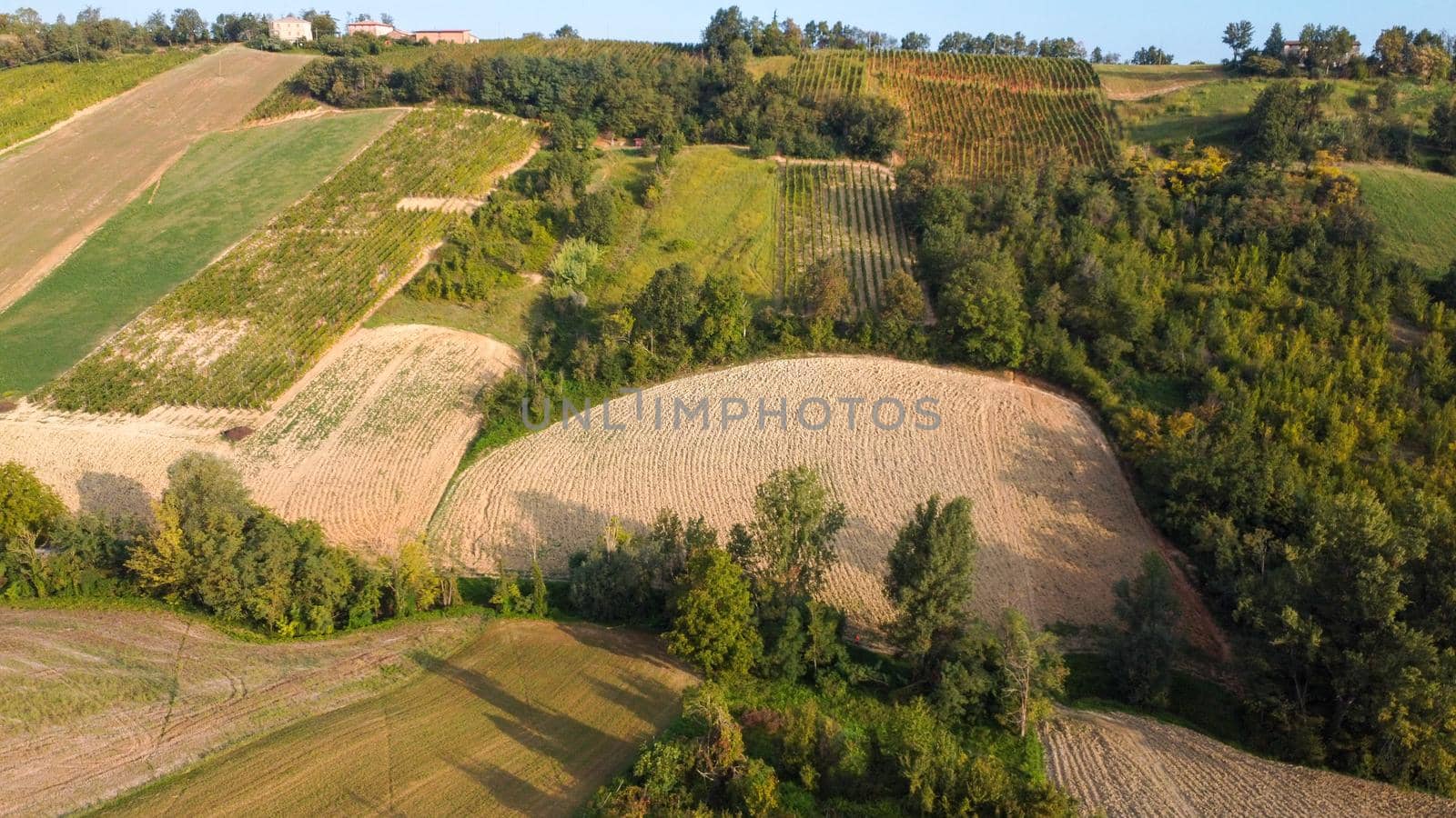 aerial view sunrise hills wine farms italy in Baccedasco PC