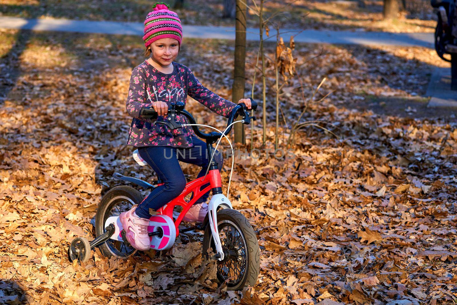 a vehicle composed of two wheels held in a frame one behind the other, propelled by pedals with handlebars attached to the front wheel. Child with a bike in the autumn park among colorful foliage.
