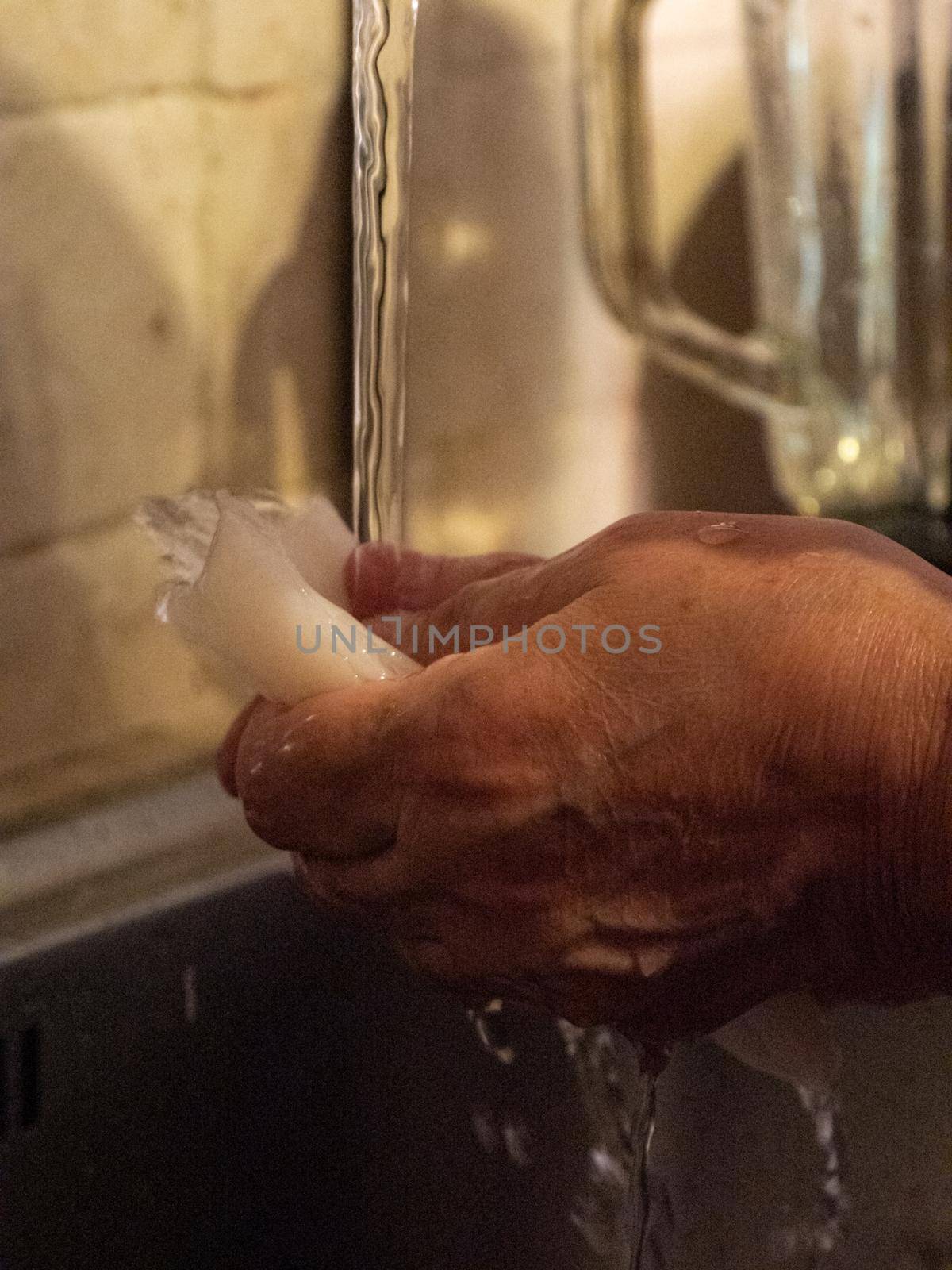 cleaning a raw adriatic cuttlefish at home in Numana, Marche, Italy