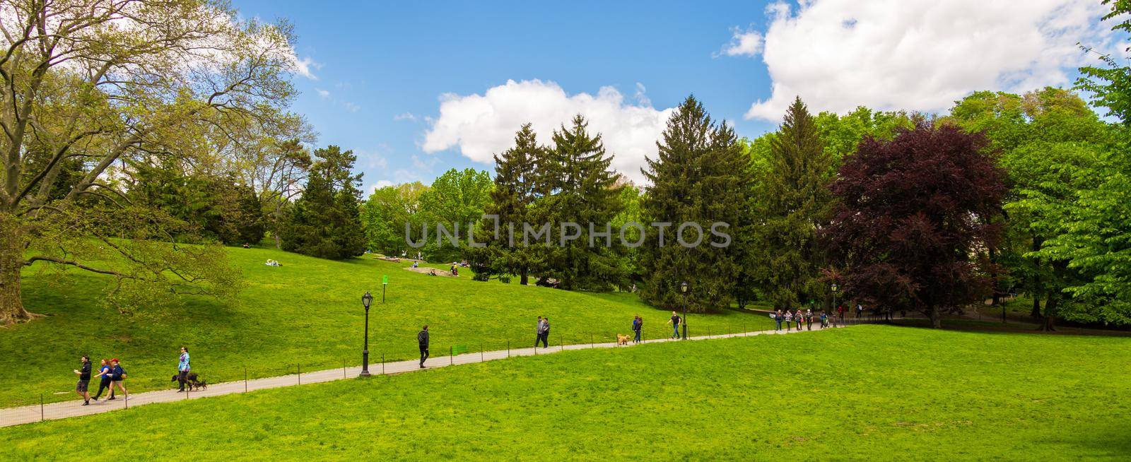 New York, USA - May 15, 2019: Central park at a sunny day in Manhattan, New York City, USA