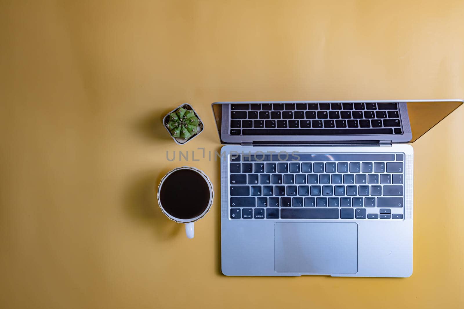 computer laptop and cactus on yellow background.Top view copy space blank.