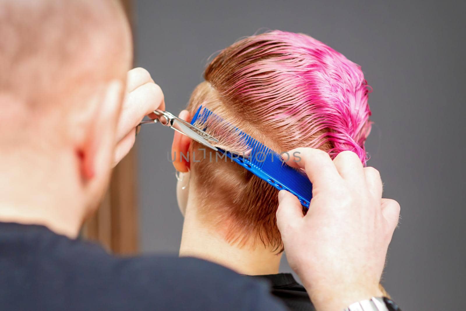 Woman having a new haircut. Male hairstylist cutting pink short hair with scissors in a hair salon