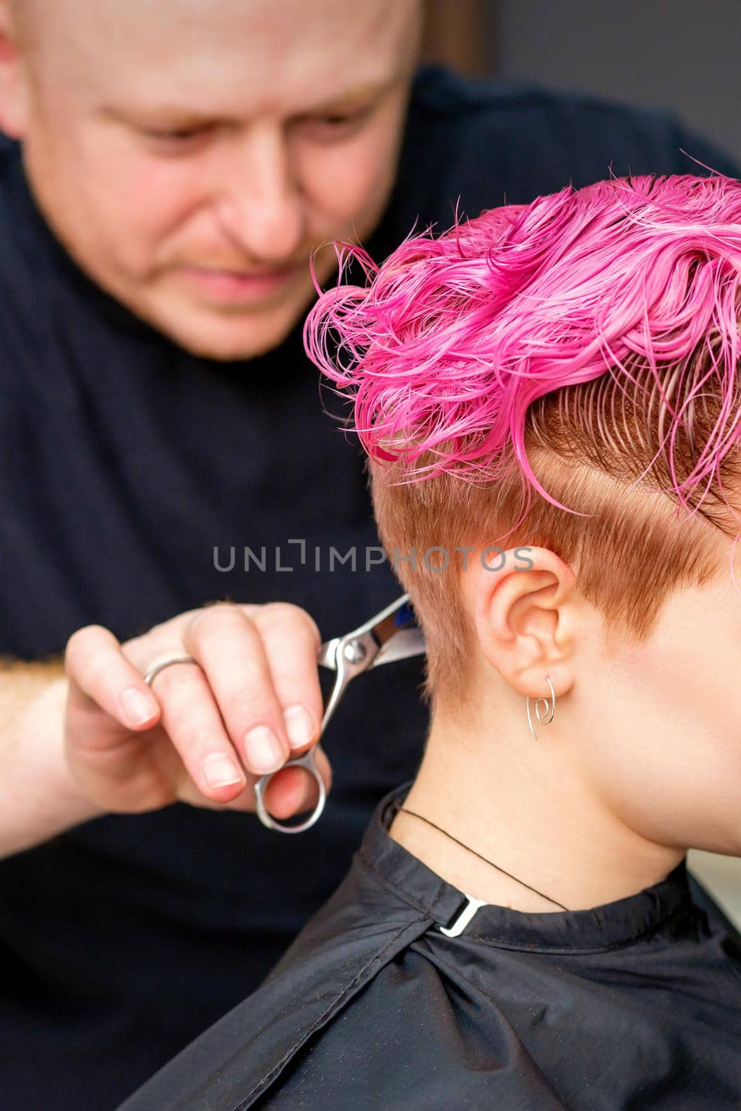 Woman having a new haircut. A male hairstylist is cutting dyed pink short hair with scissors in a hair salon