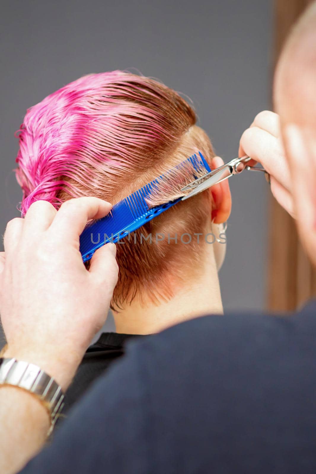 Woman having a new haircut. Male hairstylist cutting pink short hair with scissors in a hair salon. by okskukuruza