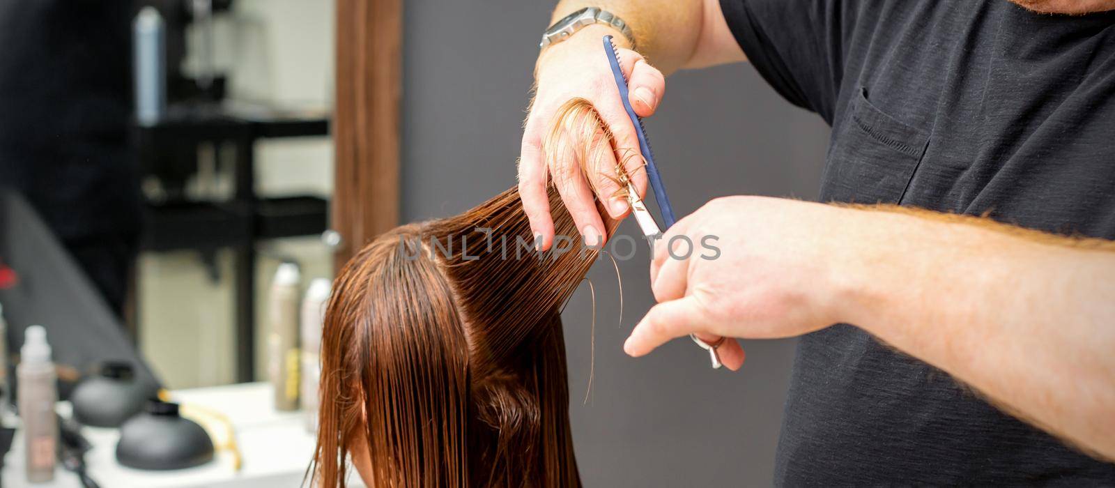Woman having a new haircut. Male hairstylist cutting brown hair with scissors in a hair salon. by okskukuruza