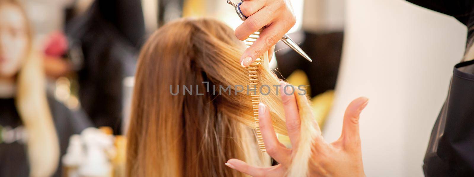 Cutting female blonde hair. Hairdresser cuts hair of a young caucasian woman in a beauty salon close up