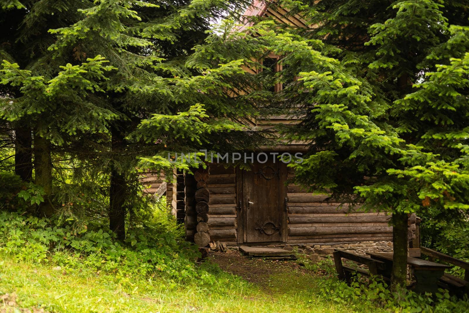 wooden house in the forest.