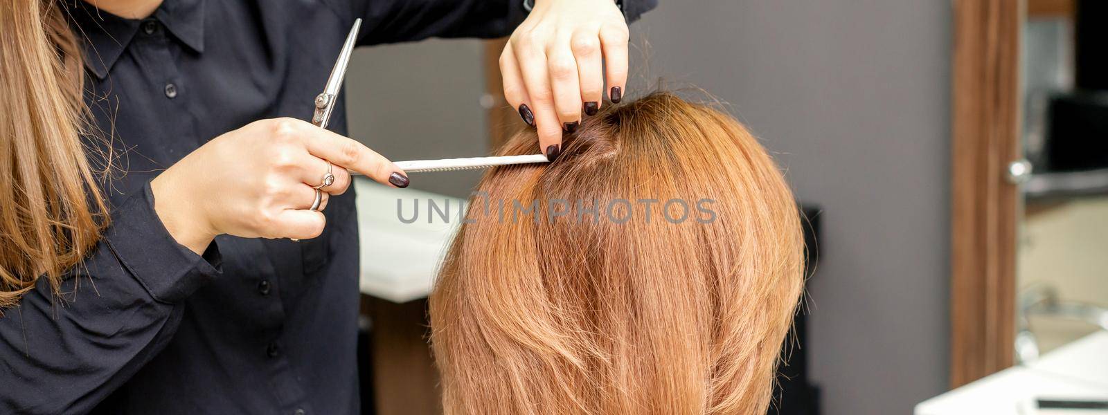 Hairdresser prepares long hair of a young woman to procedures in a beauty salon. by okskukuruza