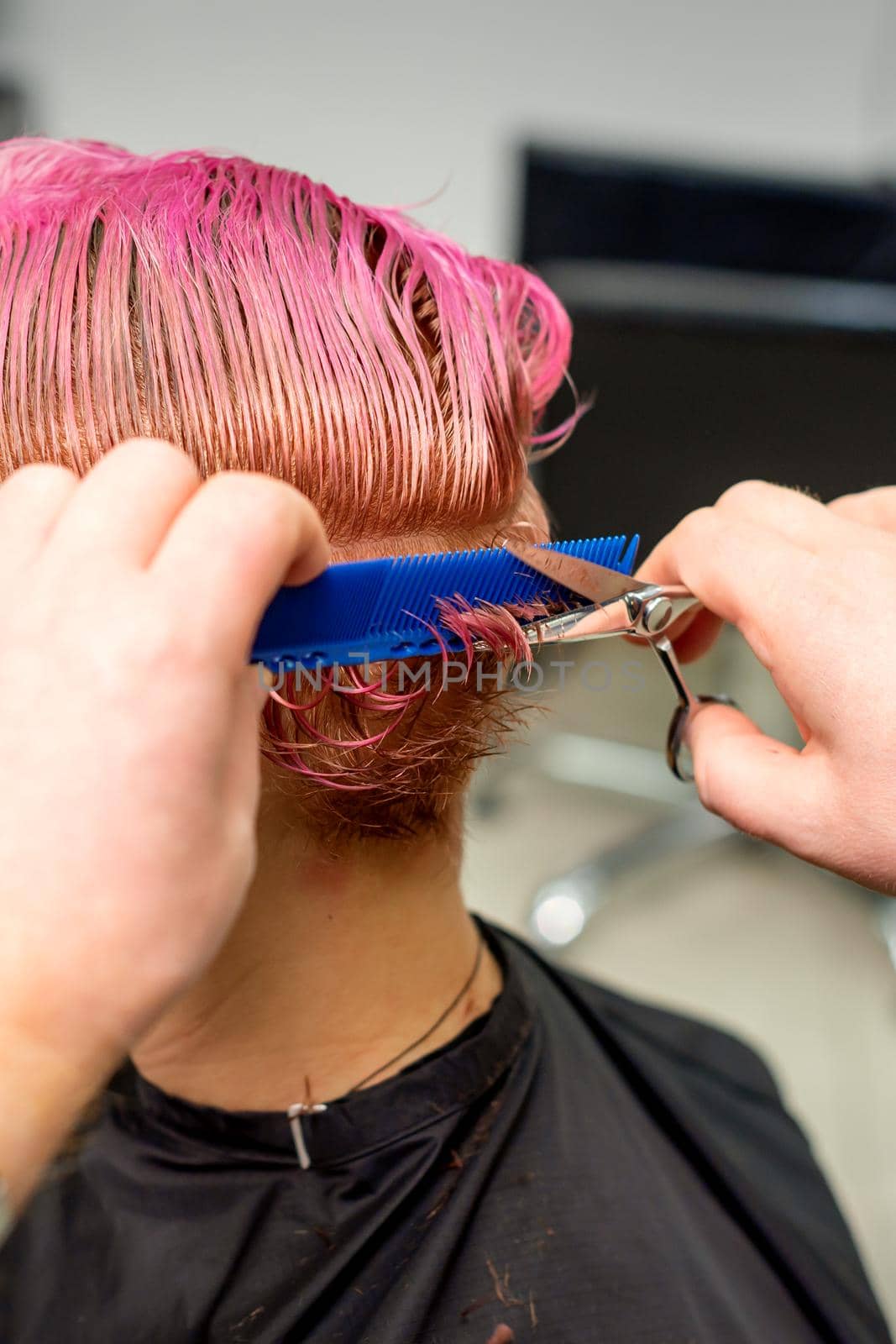 Hairdresser cuts dyed wet pink short hair of young caucasian woman combing with a comb in a hair salon