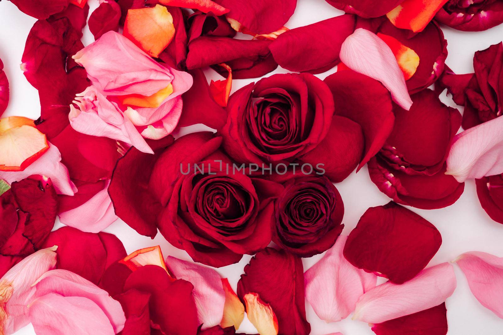 Photo of false roses and petals on a white background.