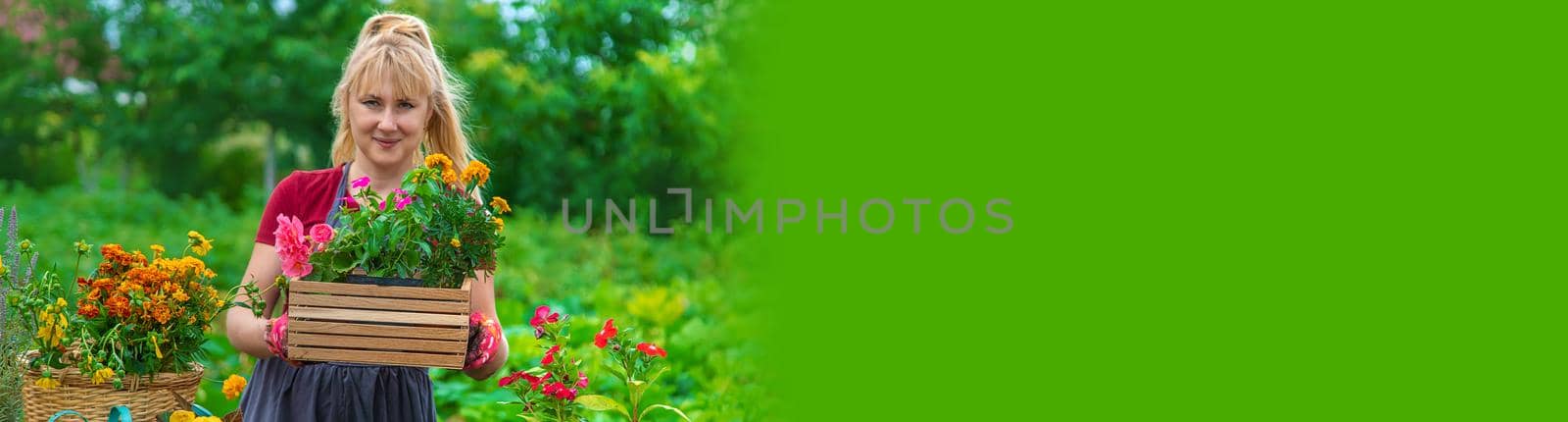 A woman is planting flowers in the garden. Selective focus. by yanadjana