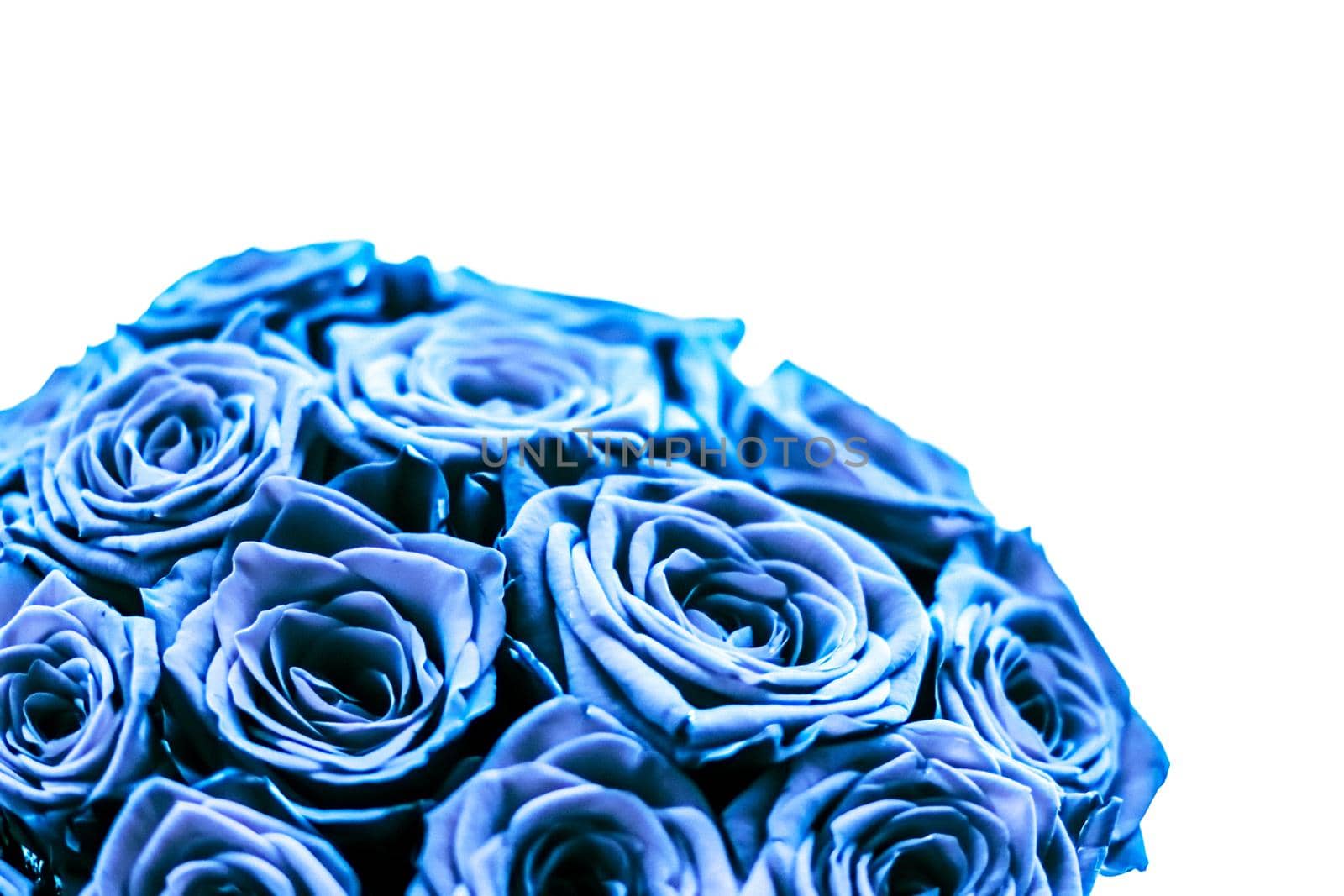 Blooming rose, flower blossom and Valentines Day gift concept - Glamour luxury bouquet of blue roses, flowers in bloom as floral holiday background