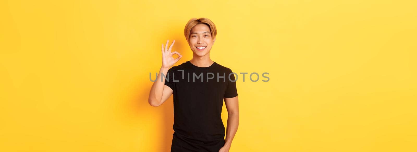 Portrait of satisfied and happy asian smiling guy, showing okay gesture in approval, praising good work, yellow background.