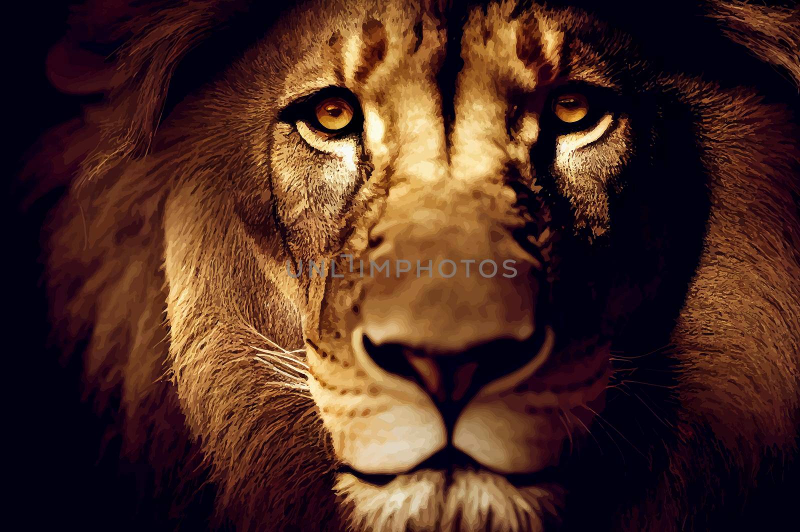 Portrait of a Lion. Close-up of wild lion face on black background.