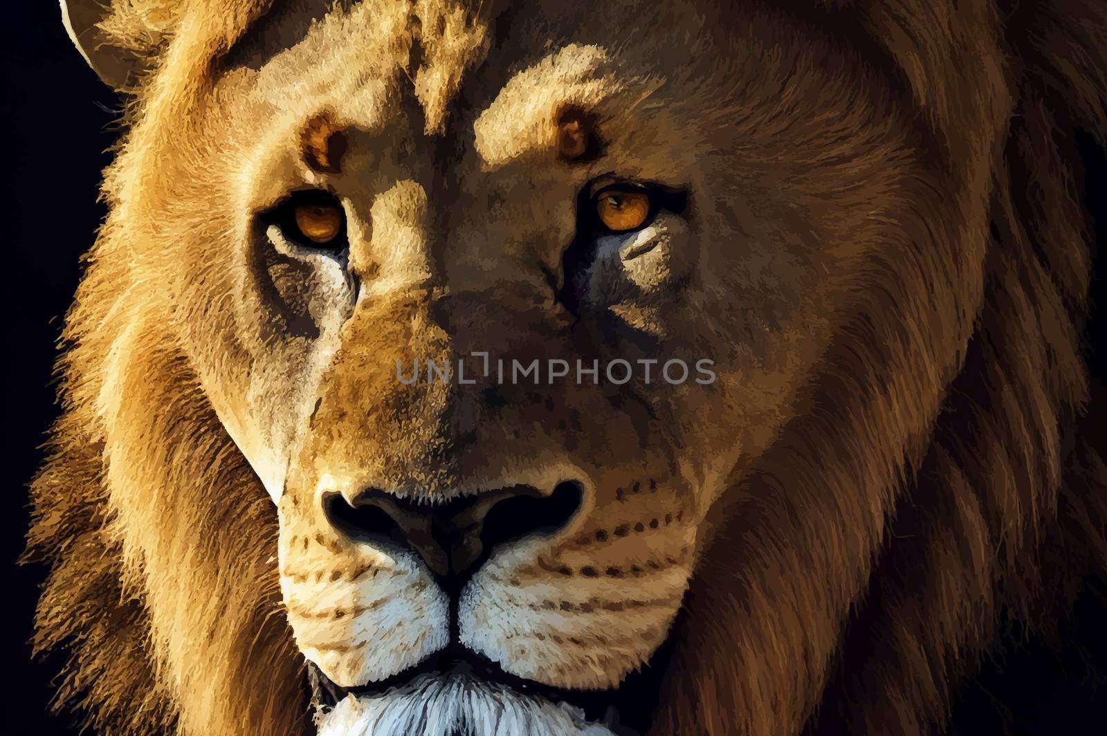realistic illustration of a Lion. Close-up of wild lion face on black background. by JpRamos