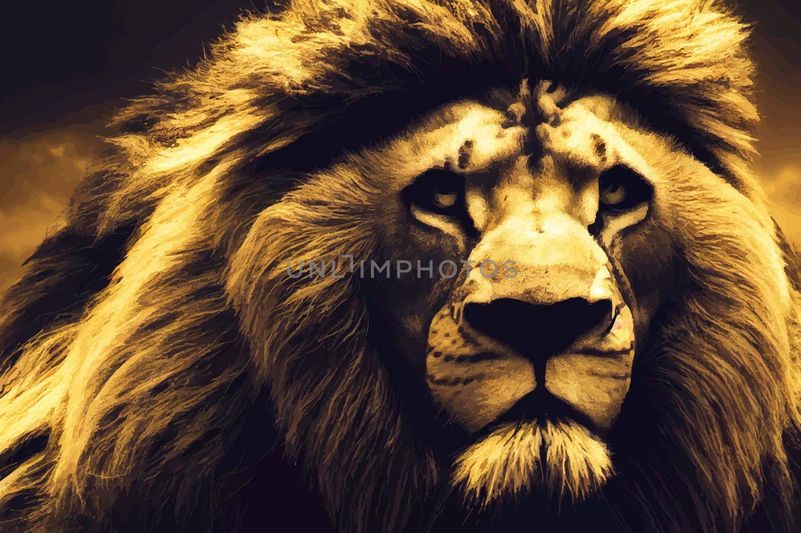 realistic illustration of a Lion. Close-up of wild lion face on black background. by JpRamos