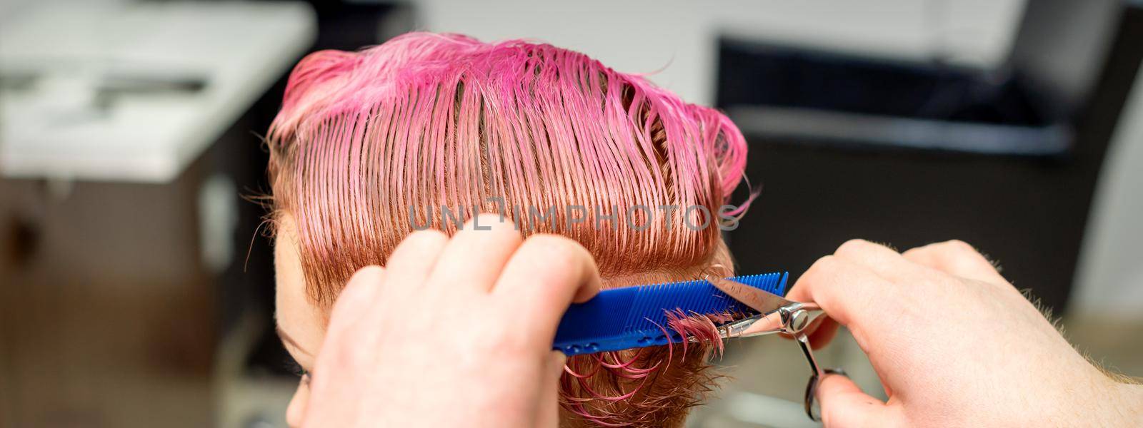 Hairdresser cuts dyed wet pink short hair of young caucasian woman combing with a comb in a hair salon. by okskukuruza