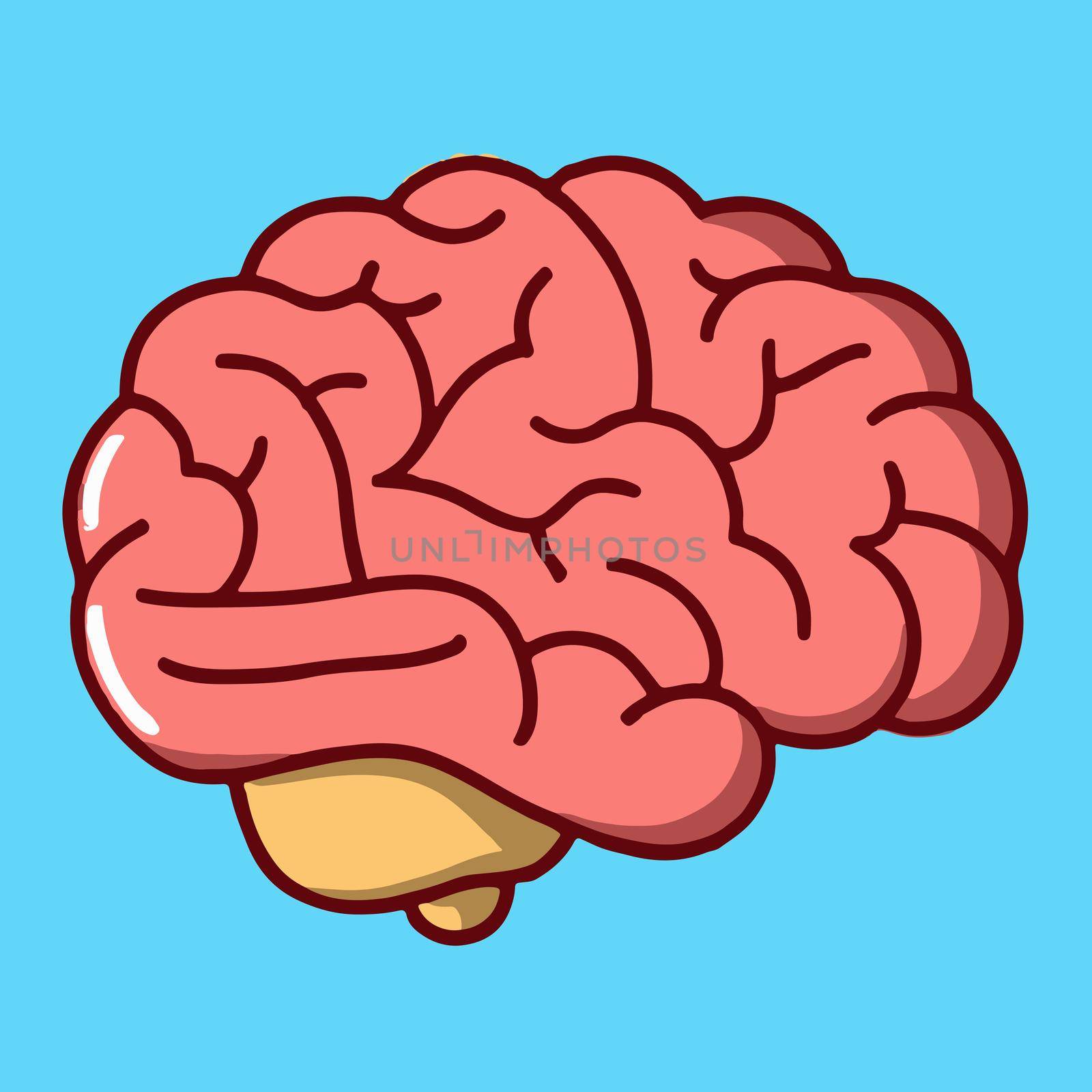 cartoon illustration of human brain by JpRamos