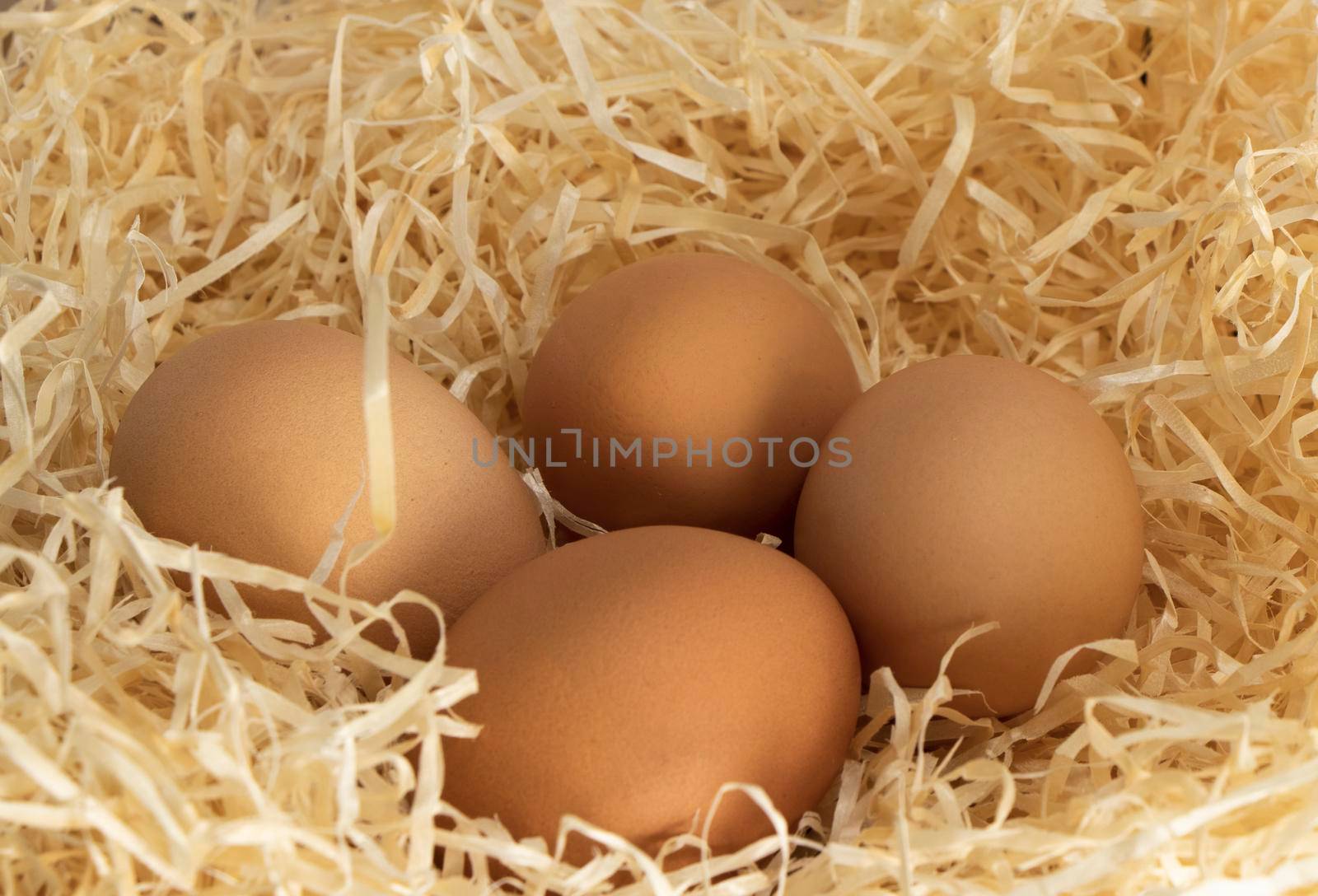 brown egg on a wooden table on a background of paper shavings. High quality photo