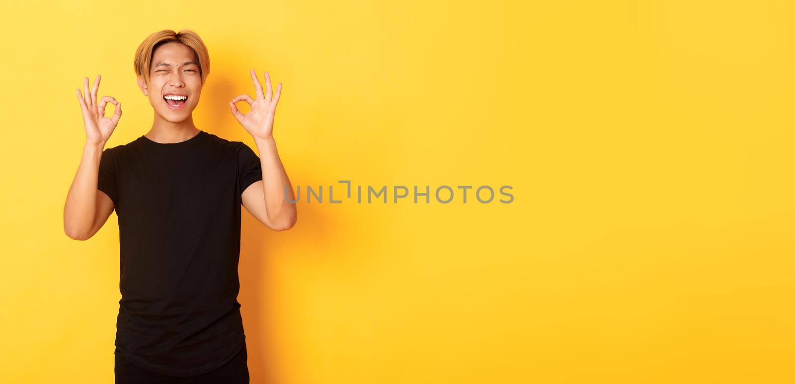 Portrait of satisfied and happy asian smiling guy, showing okay gesture in approval, winking assured, guarantee quality, yellow background by Benzoix