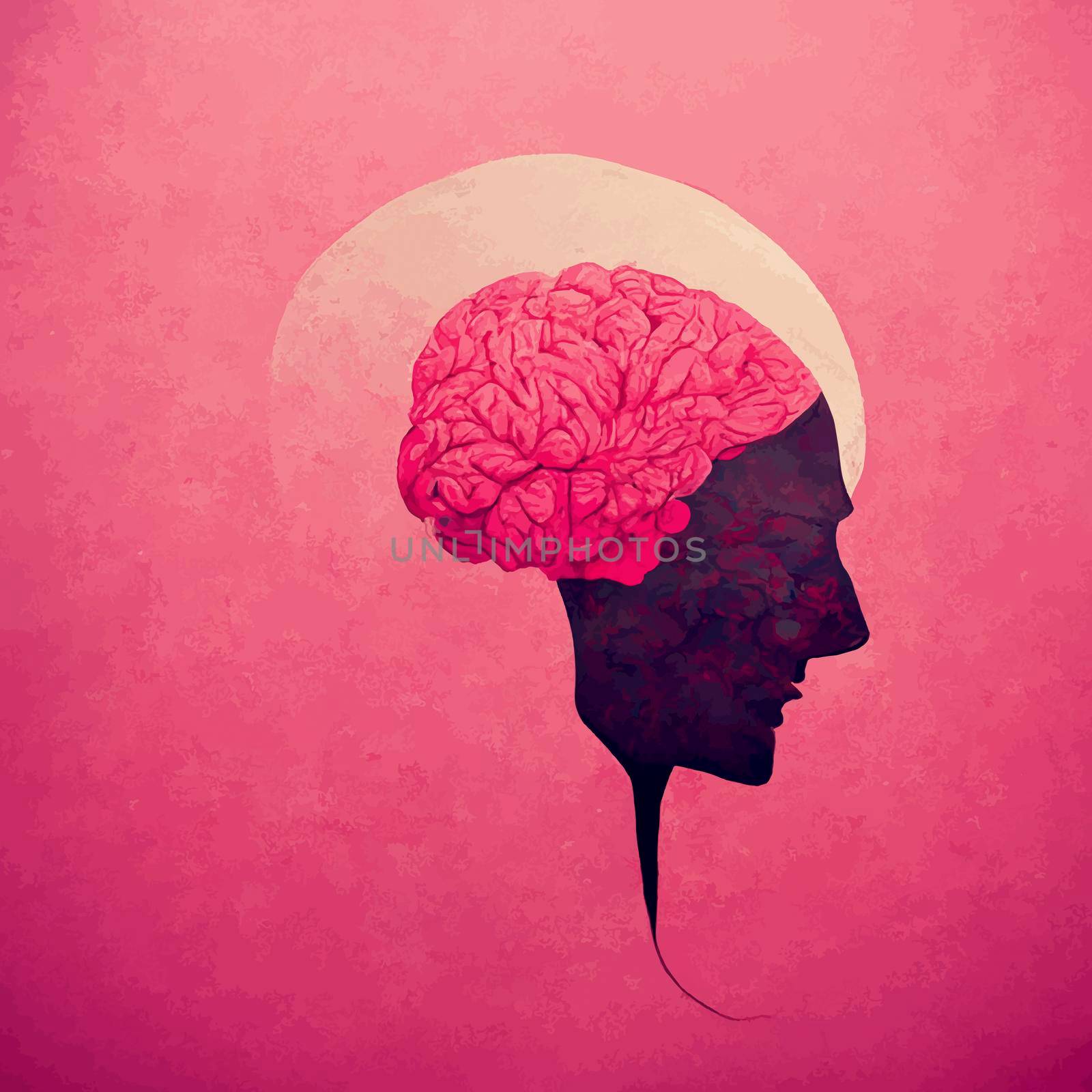 illustration of the human brain. pink 2d illustration of the human brain by JpRamos