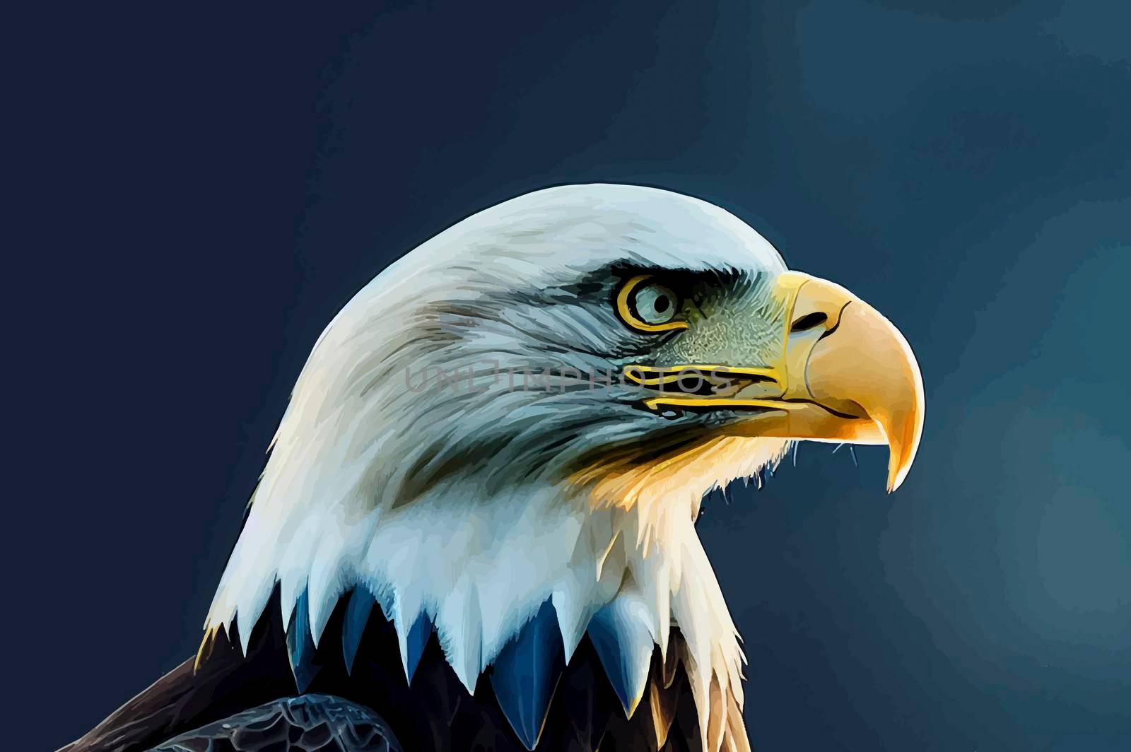 realistic illustration of American eagle, portrait of american eagle.