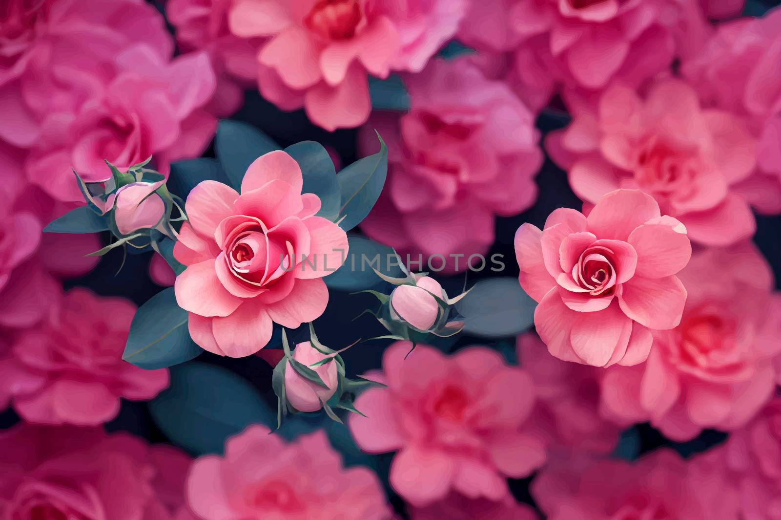 illustration of beautiful pink roses, pink roses background by JpRamos