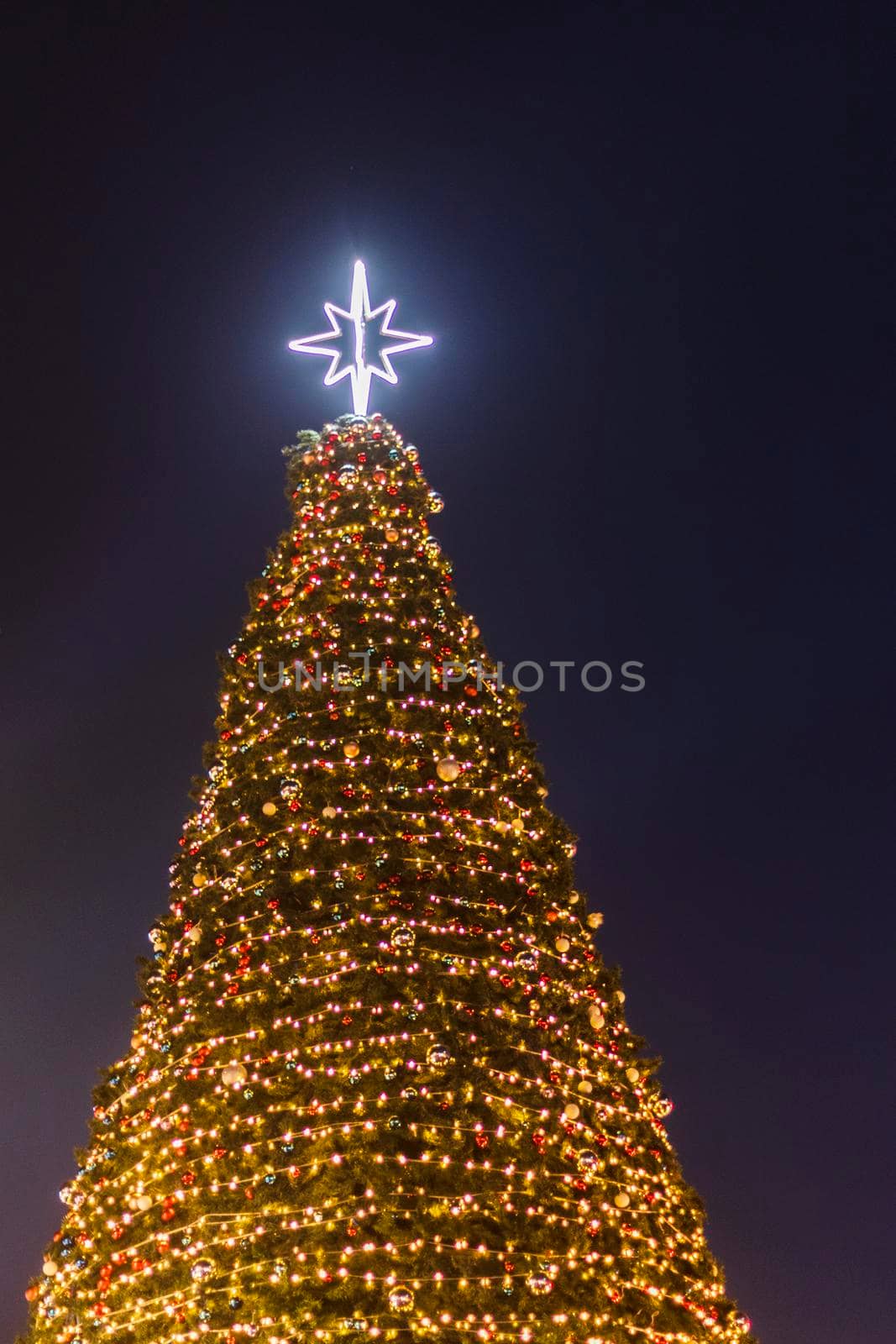 Shot of a Christmas tree illuminated with decorations.