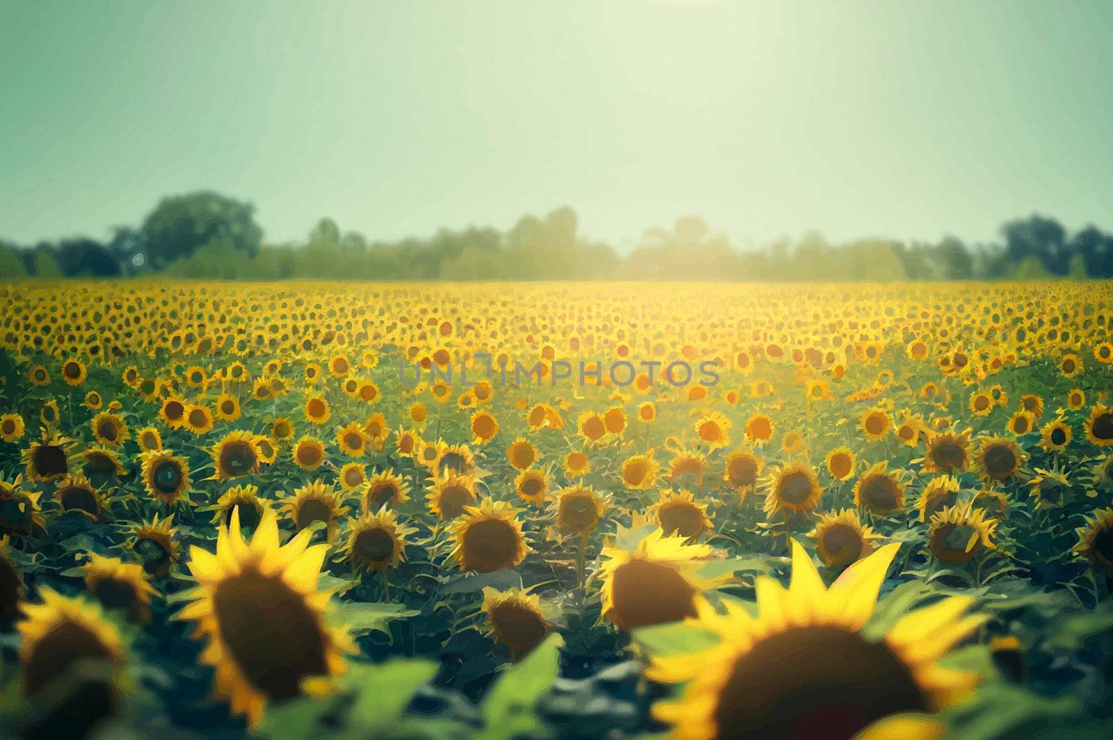 sunflowers under the colorful sky. Beautiful sunflower field. by JpRamos