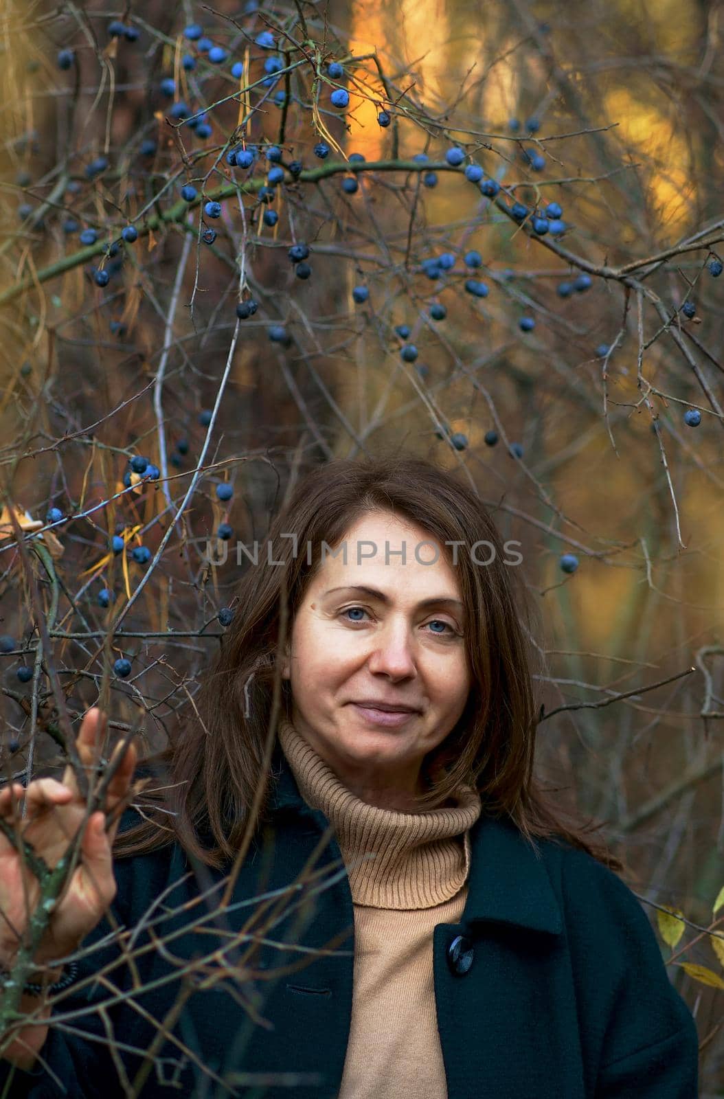 Portrait of a beautiful woman in the autumn forest. Mature female model with dark hair next to a thorn bush looks at the camera.