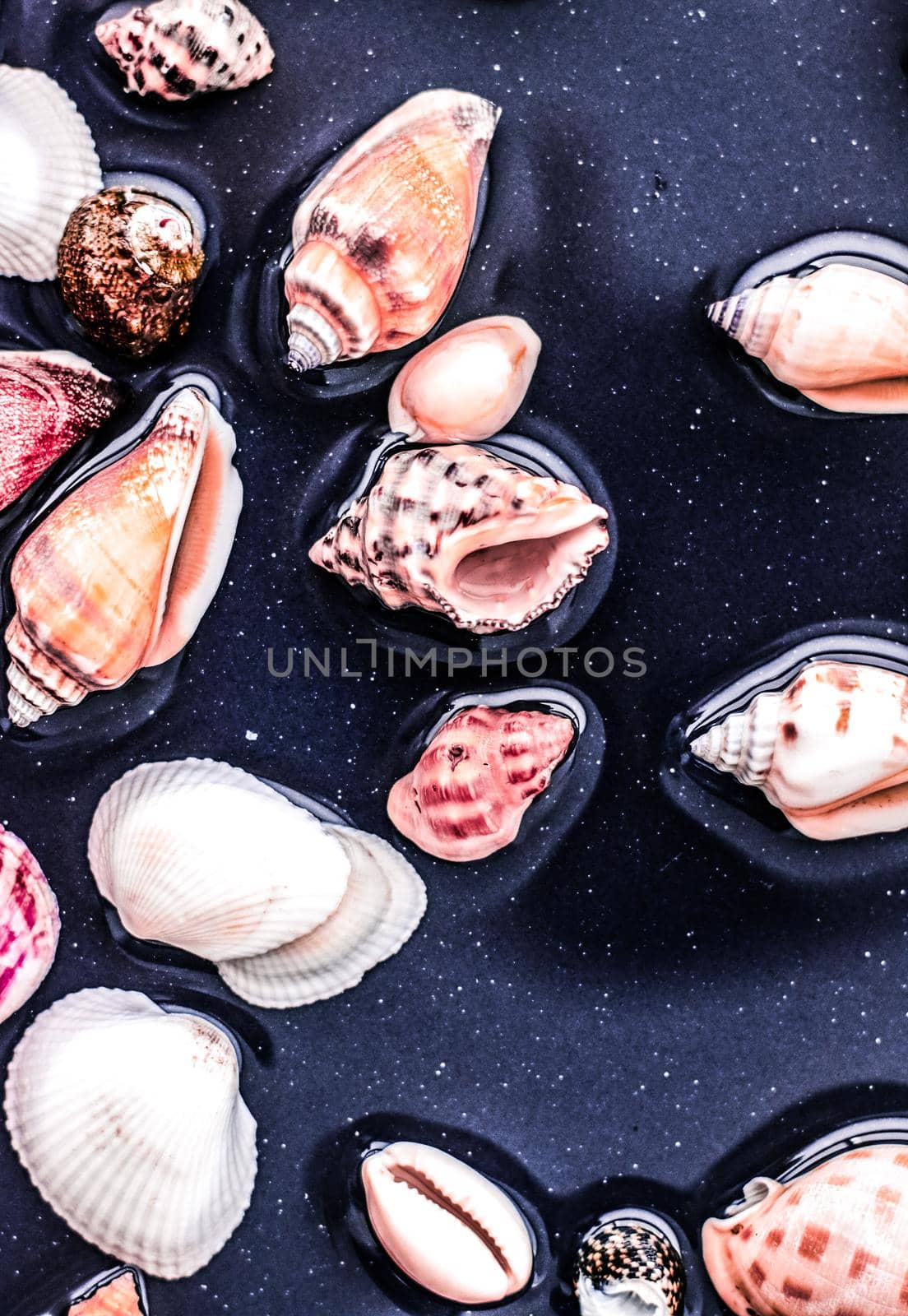 Ocean, nature texture and coastal vacation concept - Sea shell background, summertime destination and beach holiday travel card