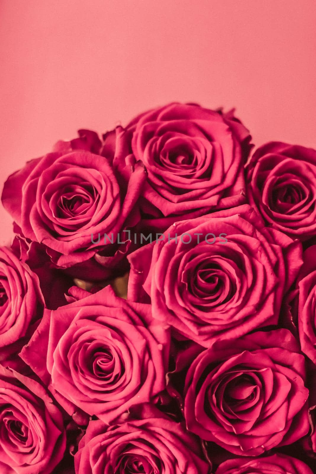 Blooming rose, flower blossom and Valentines Day gift concept - Romantic luxury bouquet of pink roses, flowers in bloom as floral holiday background